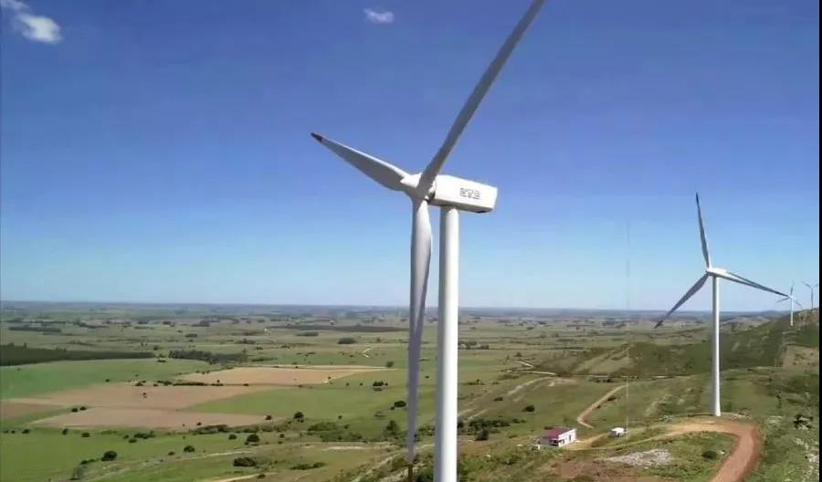 1548315051115774.jpg 9.jpg